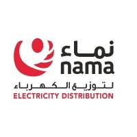 NAMA Electricity Distribution logo